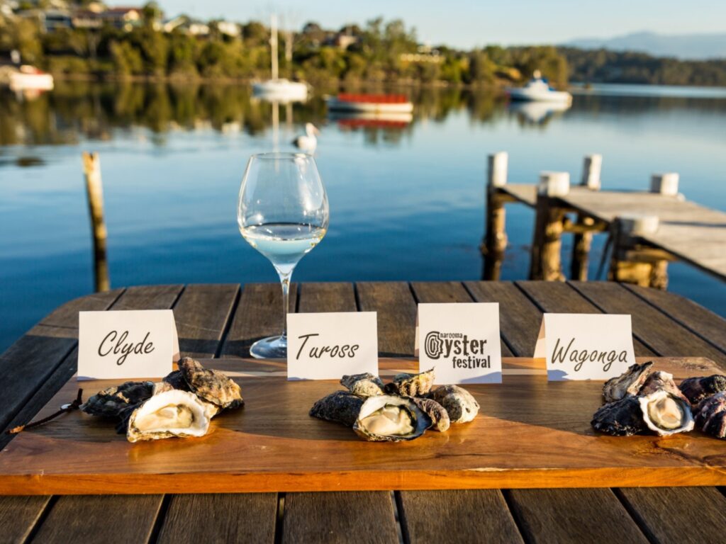 A table site beside an inlet with three groups of rock oysters on it, including 1 opened oyster for each pile. Signs say, Clyde, Tuross and Wagonga on each pile.