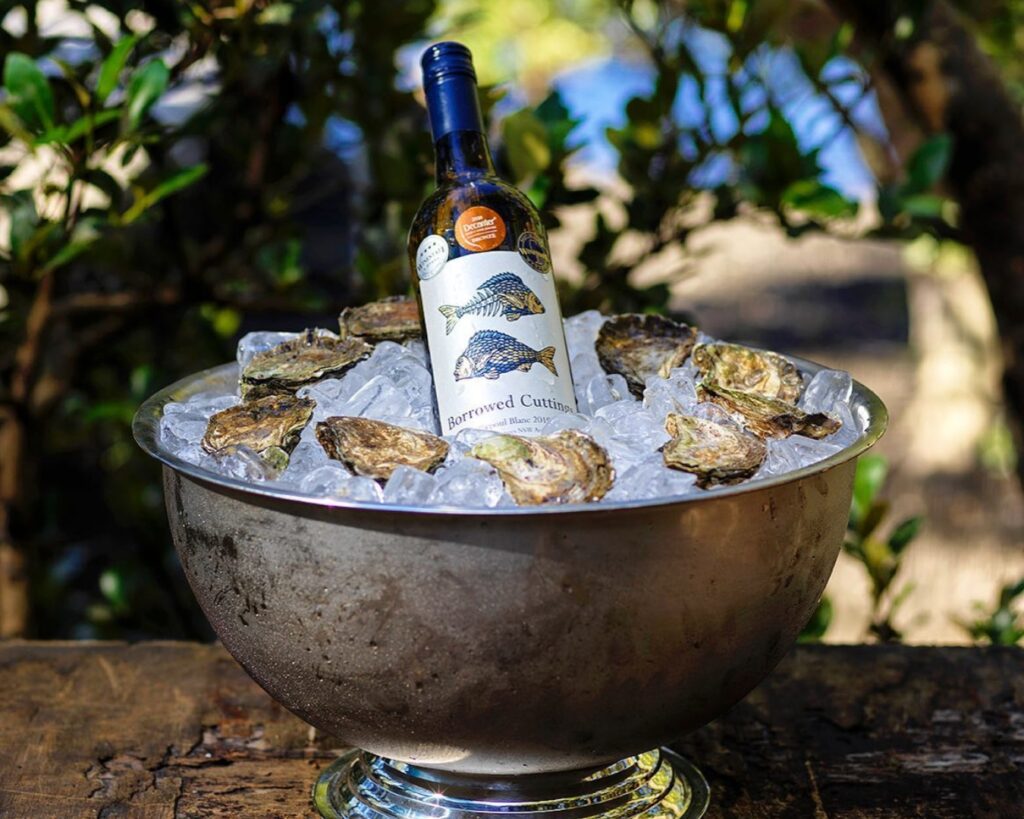 A bottle of Borrowed Cuttings sits in a bed of ice and fresh shucked rock oysters.